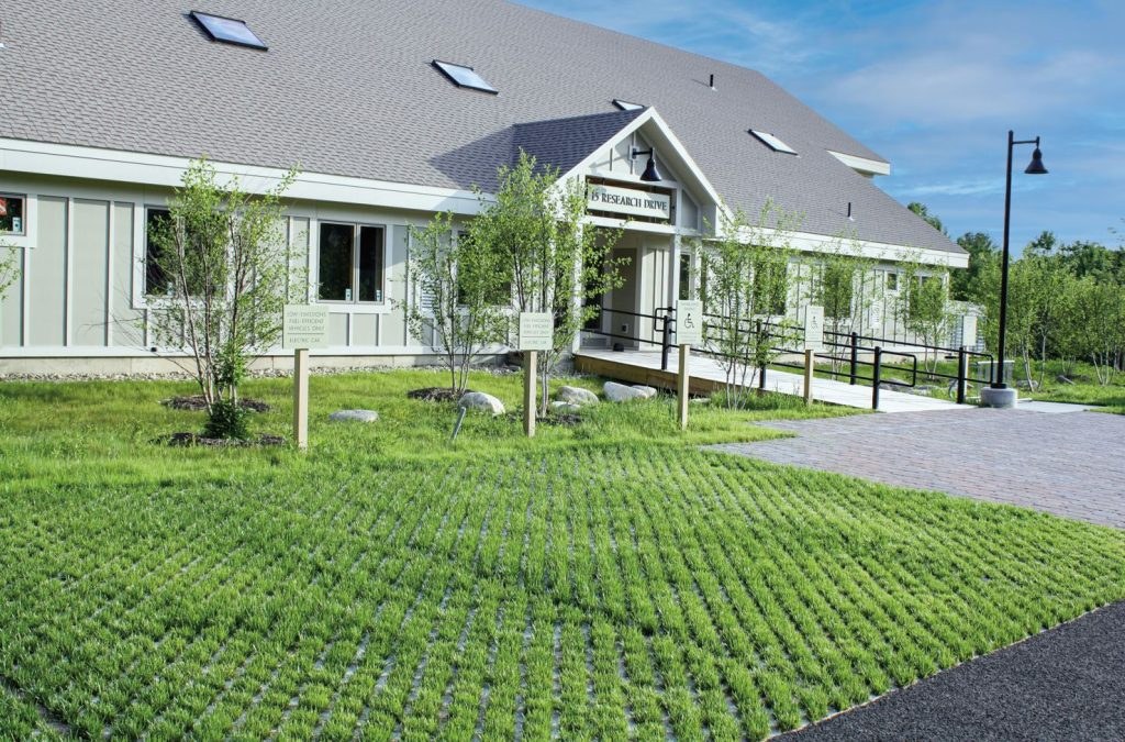 Turfstone  8cm - PEWTER